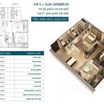 Chính chủ cần chuyển nhượng căn hộ 2ngủ (82.2m2) nguyên bản toà feliz homes