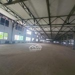 Cho thuê kho trung tâm gò vấp, tdt: 40.000m2, cho thuê từ 1.000m2 trở lên, pccc vách tường