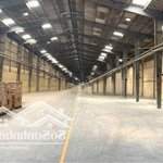 Cho thuê kho xưởng 500 m2,mới xây dựng,phường phú hữu,quận 9.