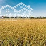 Sở hữu lô góc 2 mặt tiền view lúa trực diện cánh đồng an mỹ - hội an. vị trí đắc địa.