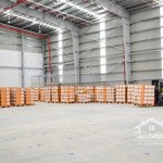 Cần cho thuê kho gò vấp,p17-1000m2-xe cont vào tận kho,có pccc-100k/m2