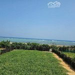 đất view biển lý sơn, khu trung tâm du lịch, thắng cảnh chùa hang