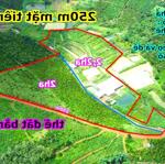 4,2ha bằng như sân bóng tại thành phố gia nghĩa