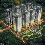 Xuất cảnh bán 8.000 m2 đất sạch quy hoạch xây dựng chung cư 25 tầng.