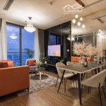 Cho thuê căn hộ cao cấp platinum residences - 6 nguyễn công hoan, 115m2, 2 phòng ngủ full đồ, 20 triệu