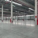 Cho thuê nhà xưởng trong kcn yên phong, dt 20000m2 độc lập làm epe, pccc tự động, tiêu chuẩn quốc tế. lh 0988 457 392