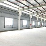 X782. cho thuê kho xưởng kcn hưng yên từ 1.500m2 có pccc tự động/ready built factory for lease