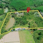 Cần bán nhà vườn 1,5ha sổ đỏ, có sẳn trang trại vườn cây,rào lưới b40 xung quanh.vị trí rất đẹp.