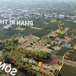 Hơn 3000m2 đất cây hàng năm view sông có qh thổ cư tại phan rí thành. giá chưa đến 1 tỷ. shr