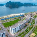 Safabay - dự án thông minh dành cho khách hàng thông thái - kinh doanh 4 mùa - giá trị hấp dẫn