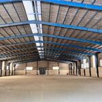 Cho thuê nhà xưởng mới xây diện tích 3500 m2 trong kcn tân quy , củ chi , tp. hcm
