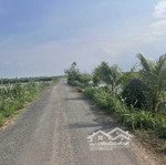 Bán 16400m2 ( 1,6 mẫu) đất lúa đã lên nền, đường nhựa 8 tấn.