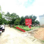 Cực phẩm cho các nhà đầu tư 139m2, mt 5m hậu 5m03 tại thôn 3 tân xã