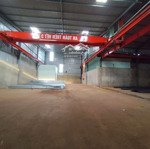 Cho thuê kho thời vụ sầu riêng 900m2