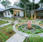 Khu homestay thuộc đồng trạng, cổ đông. sơn tây. tổng s gần 2300m2, 840m thổ cư. kinh doanh tốt