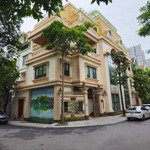 Ngộp bank - cần bán gấp biệt thự cầu giấy, dt 184m2, mt 10m, đường ô tô, giá 3x tỷ