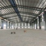 Cho thuê kho siêu vip diện tích 1200m2 ngay mặt tiền đường an dương vương, phường 16, quận 8