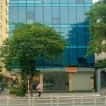 Cho thuê nhà mặt phố tôn đức thắng, đống đa 179m2, 5,5 tầng, mt 12m, thông sàn, giá chỉ 175 triệu