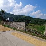 Siêu phẩm 555m2 view cánh đồng, view núi tại: cư yên - lương sơn - hòa bình giá chỉ hơn 2 tỷ