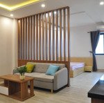 Cho thuê căn hộ mini bếp - sân phơi riêng 50 m2