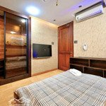 Căn hộ mini/studio/ 1 phòng ngủfull nội thất nguyễn trãi quận 1