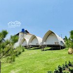 Khu du lịch nghỉ dưỡng olala glamping 350 triệu view hồ cánh bướm