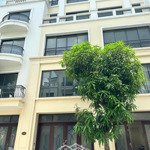 độc quyền mở bán lk san hô 11 - 52 sát dãy phố hong kong sầm uất, kế cận công viên nước