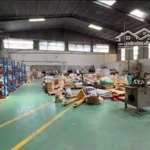 Xưởng thuận an 1200m2 pccc vách tường, vp, 50 triệu/tháng. đường tải lớn, điện hạ bình sx ok