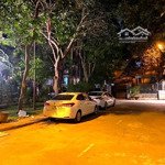 Biệt thự vườn đào khu d5, lạc long quân, view vườn hoa, diện tích 195m2, 5 tầng, mặt tiền 13m