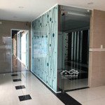 Ngộp bank bán gấp tòa nhà ngay hoàng văn thụ, quận tân bình-11x22m-hầm + 5 tầng-hđt 150tr/th-40 tỷ