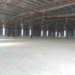 Cty cần cho thuê dt: 3000 - 5000m2 tại dương xá, gia lâm kho đạt tc iso, pccc tự động, giá 85k/m2