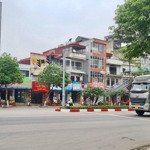 Cực hiếm, đất mặt phố hoa lâm, xe tải quay đầu. diện tích 145m, mặt tiền 6m