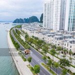 Bán biệt thự view biển mặt đường bao biển bến đoan, trung tâm đất vàng còn sót lại của tp. hạ long.