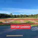 Bán 1000m2 đất phước hội - đất đỏ , cách biển chỉ 3km