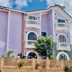 Căn villa màu tím 300m2 phường 8 - 15 tỷ