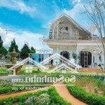 Cho thuê biệt thự mai anh đào đà lạt 1000m2 không gian rộng rãi giá chỉ 23 triệu, đường xe 45 chỗ