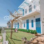 Cho thuê homestay full nội thất tại phù đổng thiên vương,p.8,đà lạt(t70236)-lh:thảo-0984262722