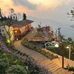 Chính chủ chuyển nhượng 7175m2 trung tâm thị trấn tam đảo, vĩnh phúc (nhà hàng, ks, homestay, cafe