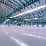 Cho thuê xưởng 10000m2 trong kcn an phước long thành đồng nai