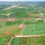 Kẹt tiền cần bán gấp! tổng 4,134m2. xã hoài đức, huyện lâm hà, tỉnh lâm đồng