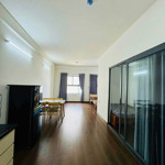 Cho thuê căn hộ ehome southgate 51m2 đầy đủ nội thất. miễn phí quản lý