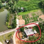 Vợ chồng tôi bán gấp mảnh đất đầu tư trong kcn lam sơn sao vàng sân bay thanh hoá 150m thổ cư 520tr