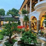 Hàng đầu tư,hạ 700 về 4xx,(5223m2)"nhà hàng-cafe-tiệc cưới",mặt tiền dương quảng hàm,gò vấp