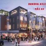 ưu đãi ngay 4 tỷ - thanh toán chậm 4 năm - shophouse celesta avenue