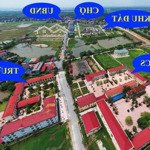 Bán nhanh 142,5 m2 đất đấu giá chợ rau, liên châu, yên lạc, vĩnh phúc