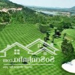 đất sân golf tam đảo diện tích 1600m2