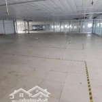 Cho thuê kho xưởng trịnh như khuê, bình chánh kv: 3.100m2, xưởng: 2.500m2, pccc tự động