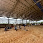 Cho thuê nhà xưởng tân uyên bd - tdt: 13.500m2, dtx: 8000m2 - vp: 320m2, giá thuê: 63.200đ/th