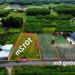 Cần bán 1000m2 đất phủ hồng quy hoạch đất ở hẻm xe hơi tới đất sát vành đai 3: 0865992269