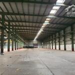 Cho thuê nhà xưởng tân uyên bd - tdt: 13.500m2, dtx: 8000m2 - vp: 320m2, giá thuê: 63.200đ/th